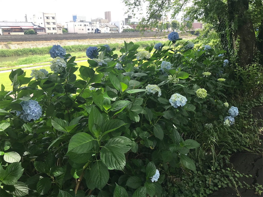 f:id:edwalk:20210621122835j:image
