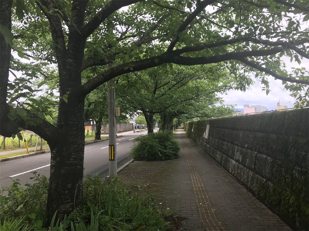 f:id:edwalk:20210708181439j:image f:id:edwalk:20210708181439j:image