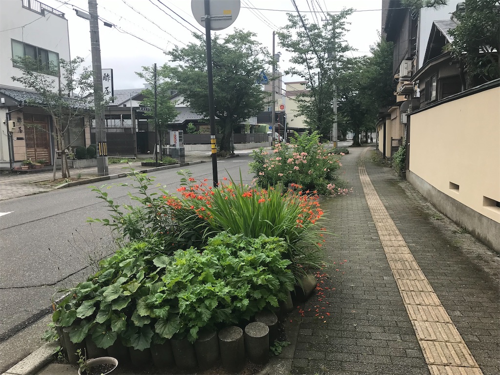 f:id:edwalk:20210708181443j:image f:id:edwalk:20210708181443j:image