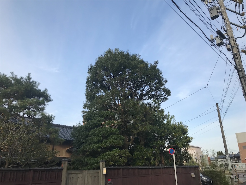 f:id:edwalk:20211025121546j:image