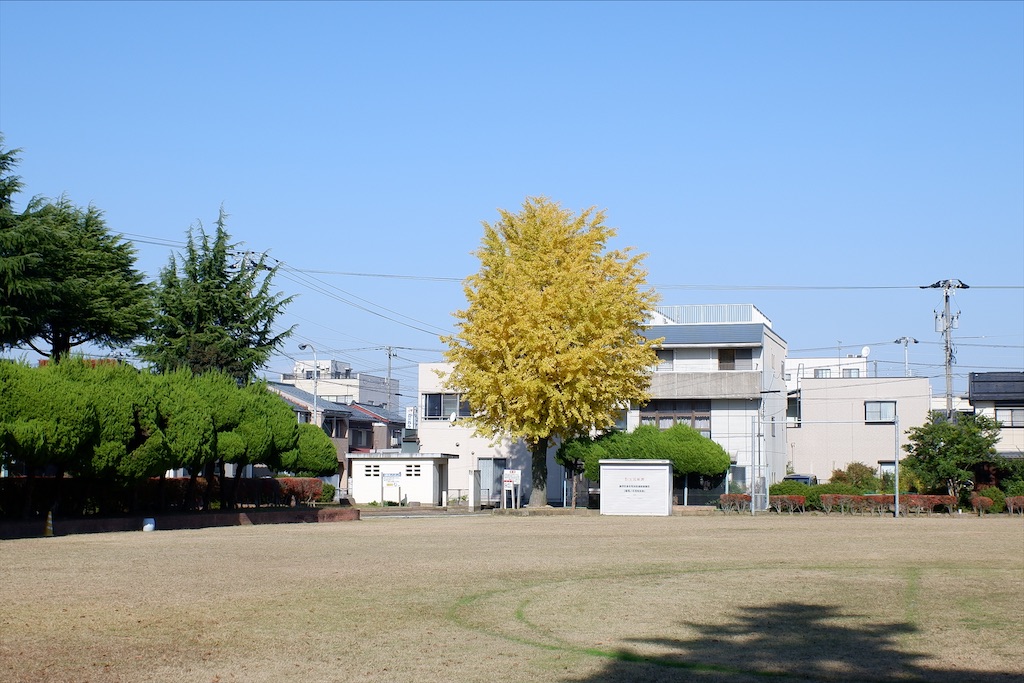 f:id:edwalk:20211119222432j:image f:id:edwalk:20211119222432j:image
