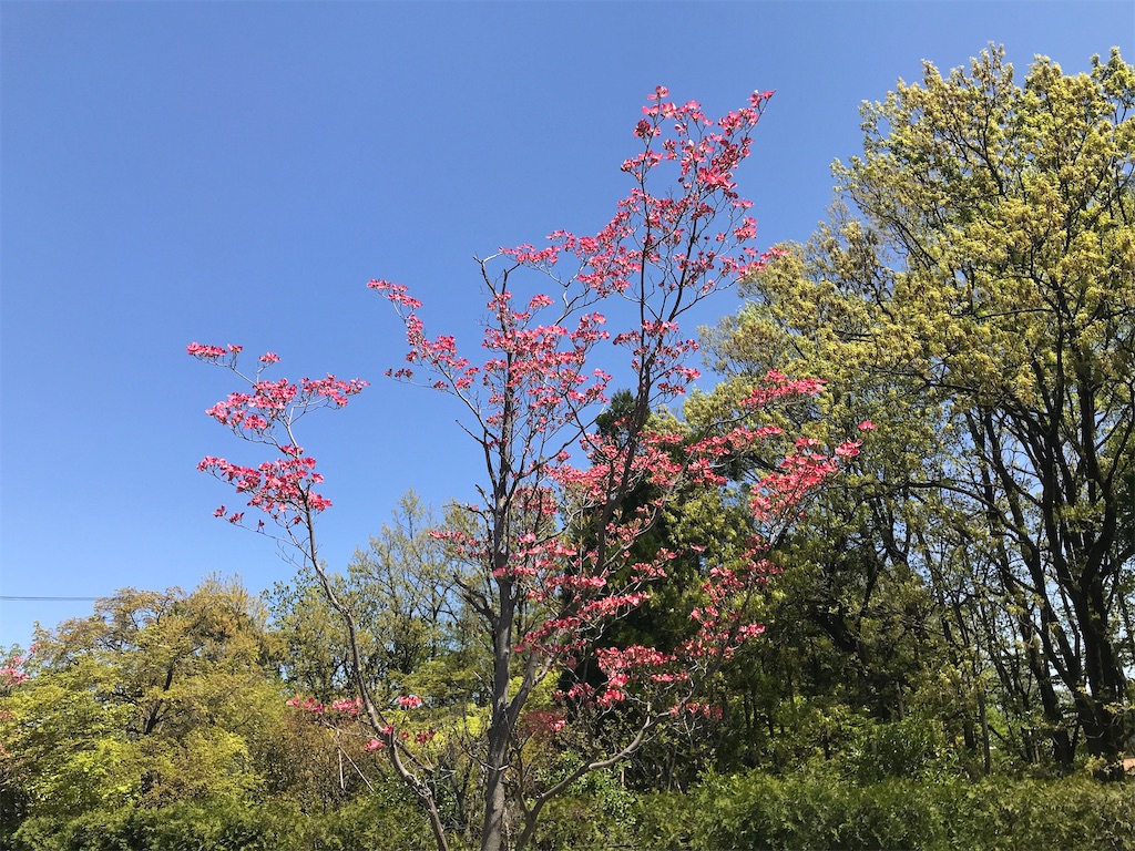 f:id:edwalk:20220418161036j:image f:id:edwalk:20220418161036j:image