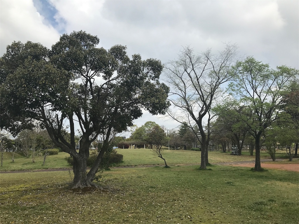 f:id:edwalk:20220418161040j:image f:id:edwalk:20220418161040j:image