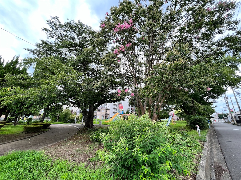 f:id:edwalk:20220719040358j:image