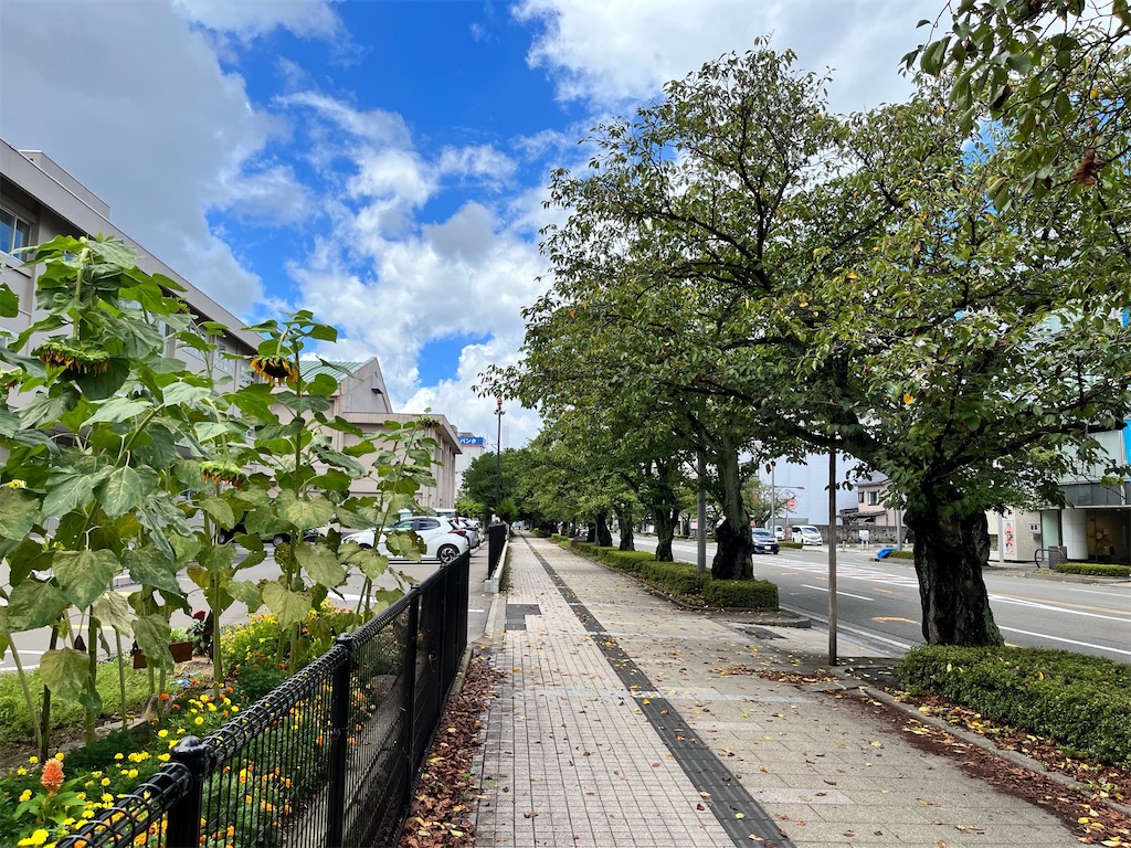 f:id:edwalk:20220818140838j:image