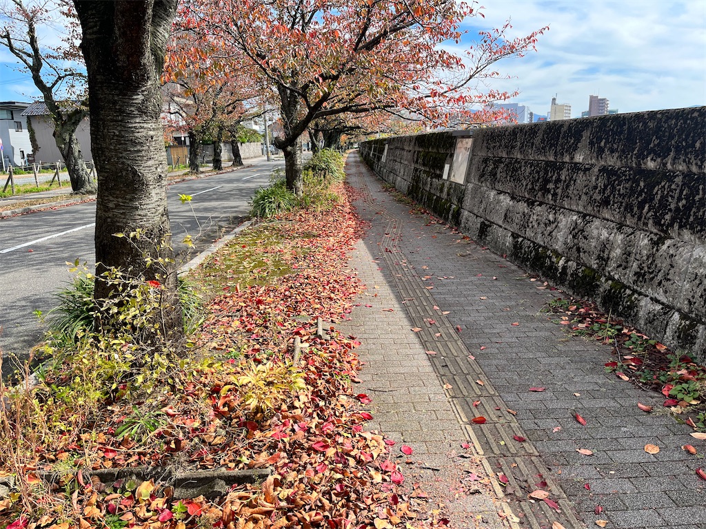 f:id:edwalk:20221030153334j:image