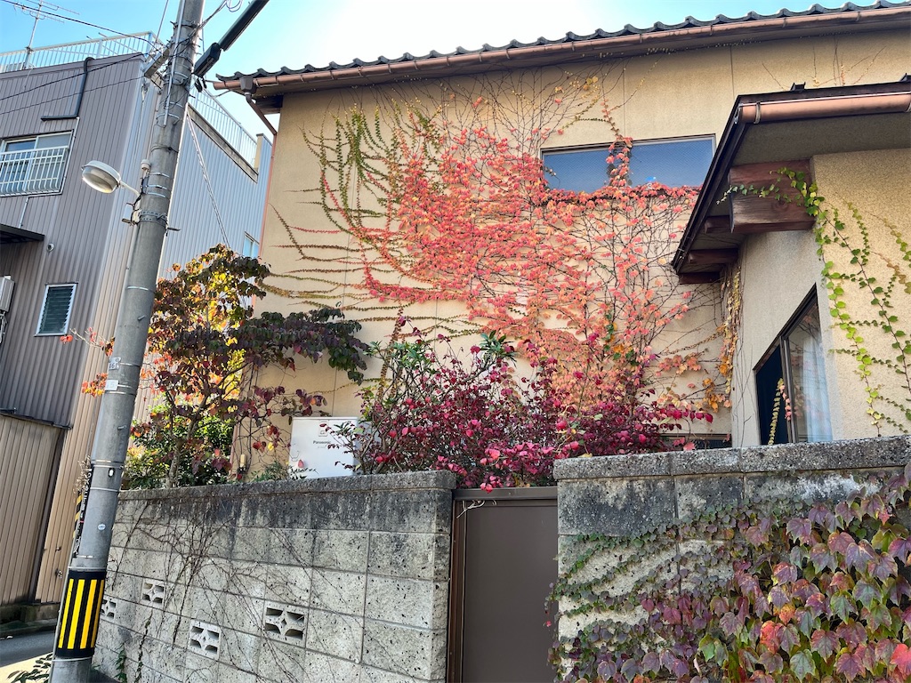 f:id:edwalk:20221105143016j:image