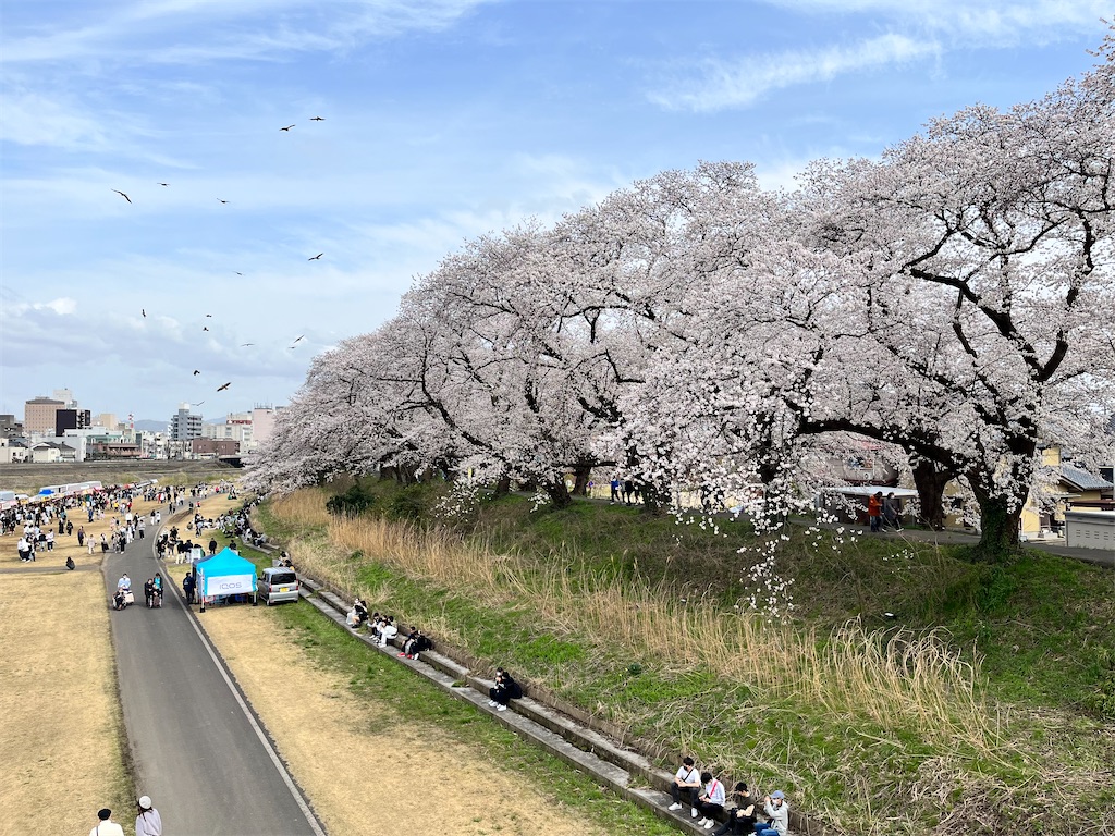 f:id:edwalk:20230327153220j:image