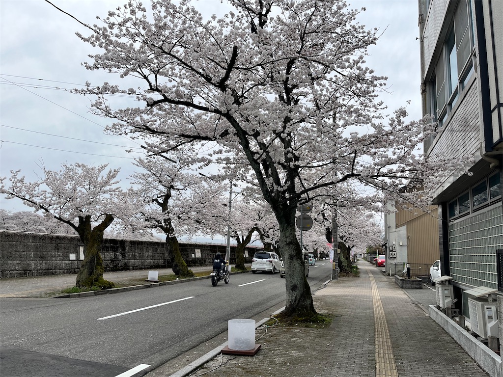 f:id:edwalk:20230327153233j:image