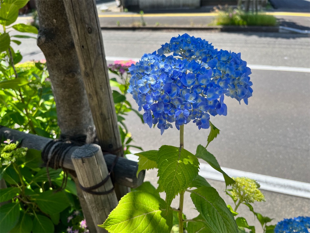 f:id:edwalk:20230531144130j:image f:id:edwalk:20230531144130j:image