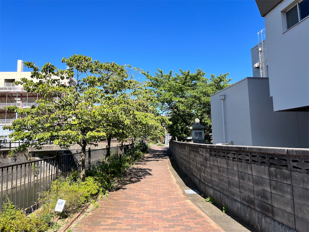 f:id:edwalk:20230619184914j:image f:id:edwalk:20230619184914j:image