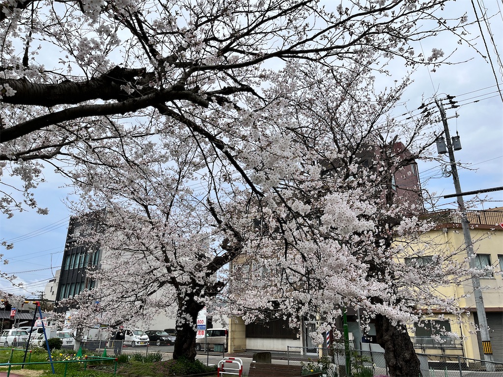 f:id:edwalk:20240404135533j:image f:id:edwalk:20240404135533j:image