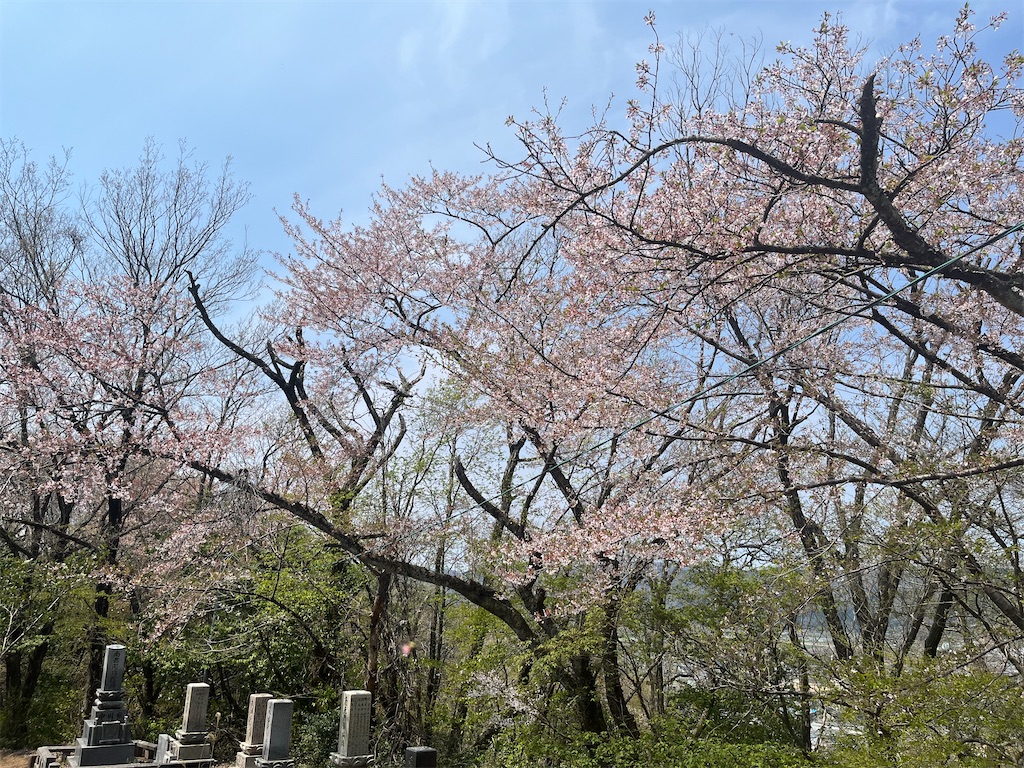 f:id:edwalk:20250417122354j:image