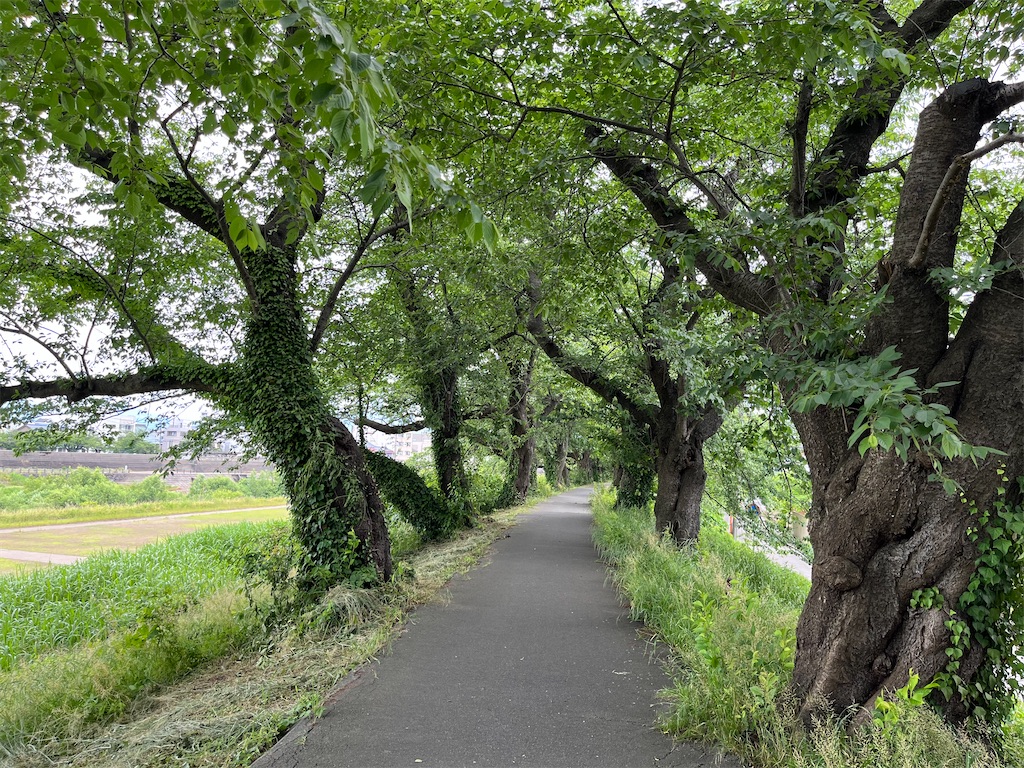 f:id:edwalk:20250606134904j:image