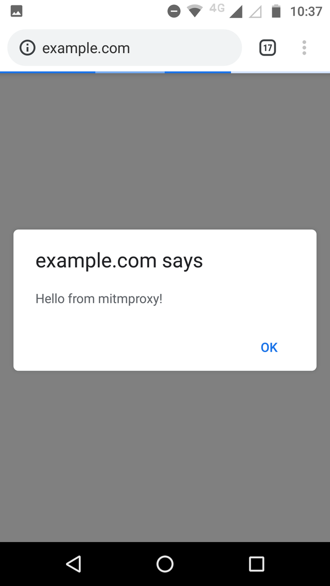 mitmproxyを通したexample.comの画面