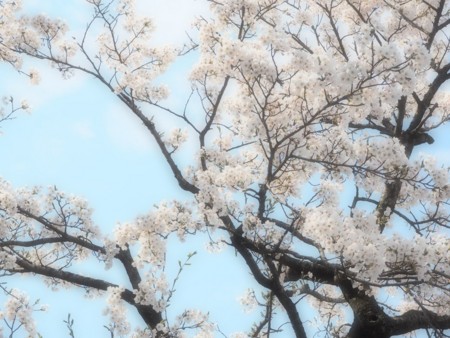 f:id:eebanam:20140414191418j:image f:id:eebanam:20140414191418j:image