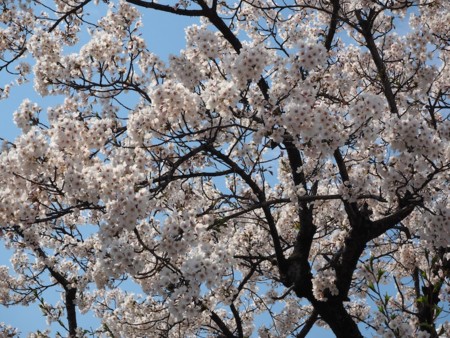 f:id:eebanam:20140414191419j:image f:id:eebanam:20140414191419j:image