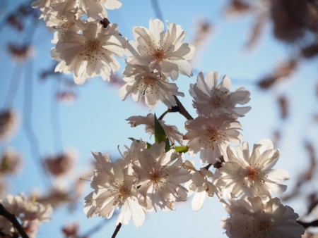 f:id:eebanam:20140414191420j:image f:id:eebanam:20140414191420j:image