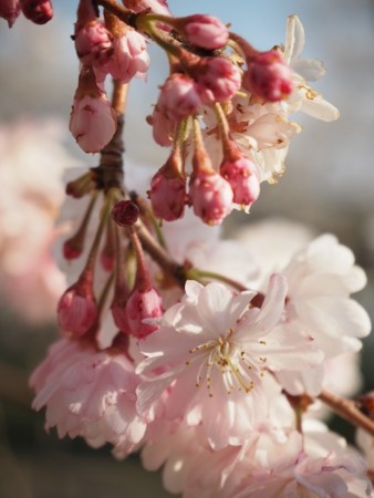 f:id:eebanam:20140414191422j:image f:id:eebanam:20140414191422j:image
