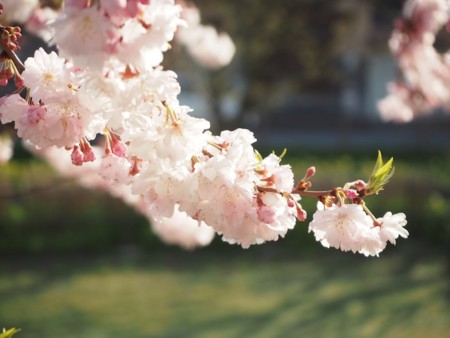 f:id:eebanam:20140414191423j:image f:id:eebanam:20140414191423j:image