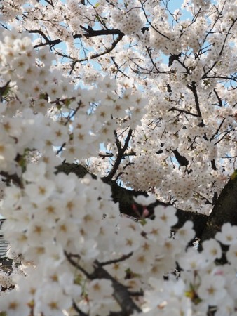 f:id:eebanam:20140414191424j:image f:id:eebanam:20140414191424j:image