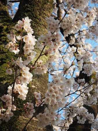 f:id:eebanam:20140414191425j:image f:id:eebanam:20140414191425j:image
