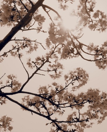 f:id:eebanam:20140414191427j:image f:id:eebanam:20140414191427j:image