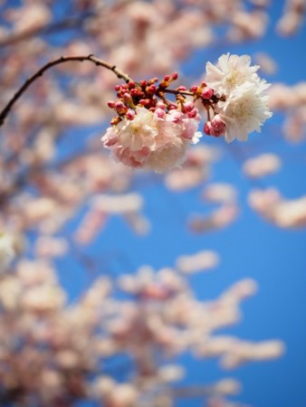 f:id:eebanam:20140414191428j:image f:id:eebanam:20140414191428j:image