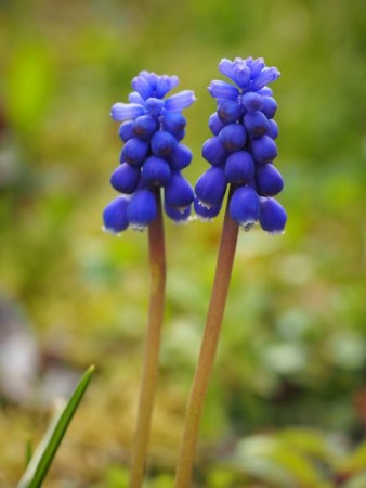 f:id:eebanam:20140420002245j:image f:id:eebanam:20140420002245j:image