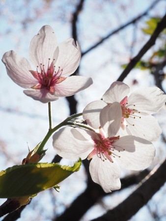 f:id:eebanam:20140427193812j:image f:id:eebanam:20140427193812j:image