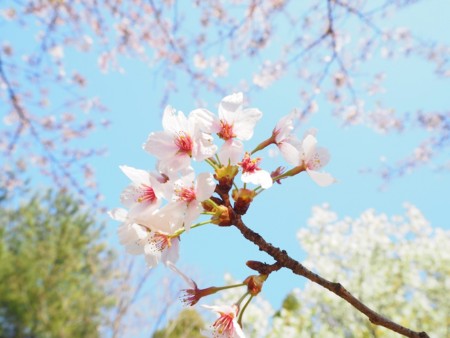 f:id:eebanam:20140427193813j:image f:id:eebanam:20140427193813j:image