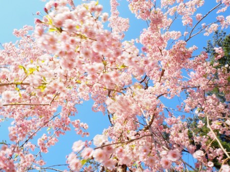 f:id:eebanam:20140427193815j:image f:id:eebanam:20140427193815j:image