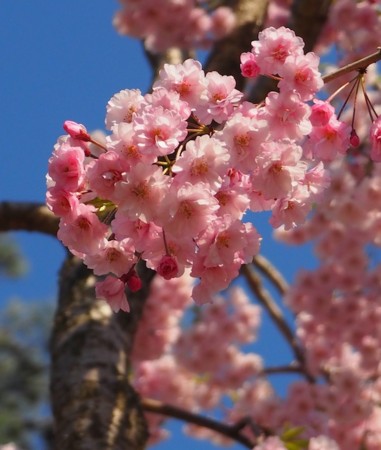 f:id:eebanam:20140427193816j:image f:id:eebanam:20140427193816j:image