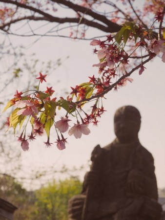 f:id:eebanam:20140427193820j:image f:id:eebanam:20140427193820j:image