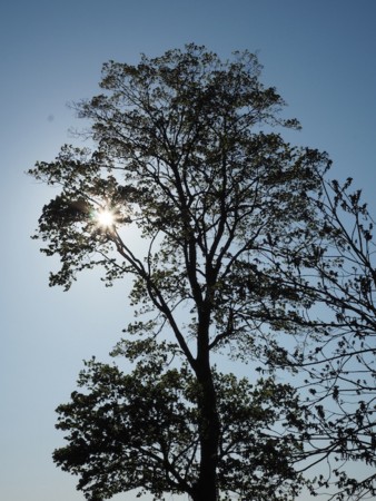 f:id:eebanam:20140427193822j:image f:id:eebanam:20140427193822j:image