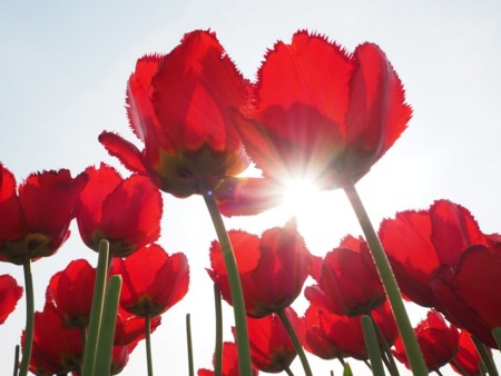 f:id:eebanam:20140427193825j:image f:id:eebanam:20140427193825j:image