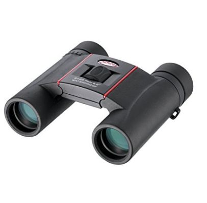 Kowa 双眼鏡 ポロプリズム式 8倍30口径 YF8x30 YF30-8 Amazon | Kowa 双眼鏡 ポロプリズム式 8倍30口径 YF8x30 YF30-8