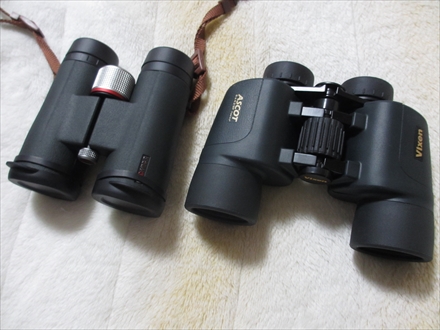 Vixen/ビクセン ASCOT アスコット 8×42 WP Field 8.2° 双眼鏡 /000