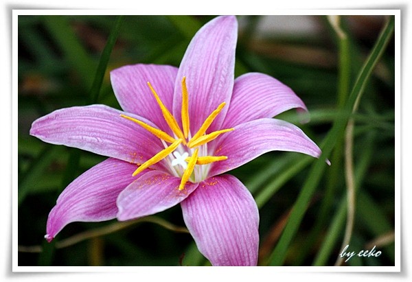 f:id:eeko2525:20101019022936j:image