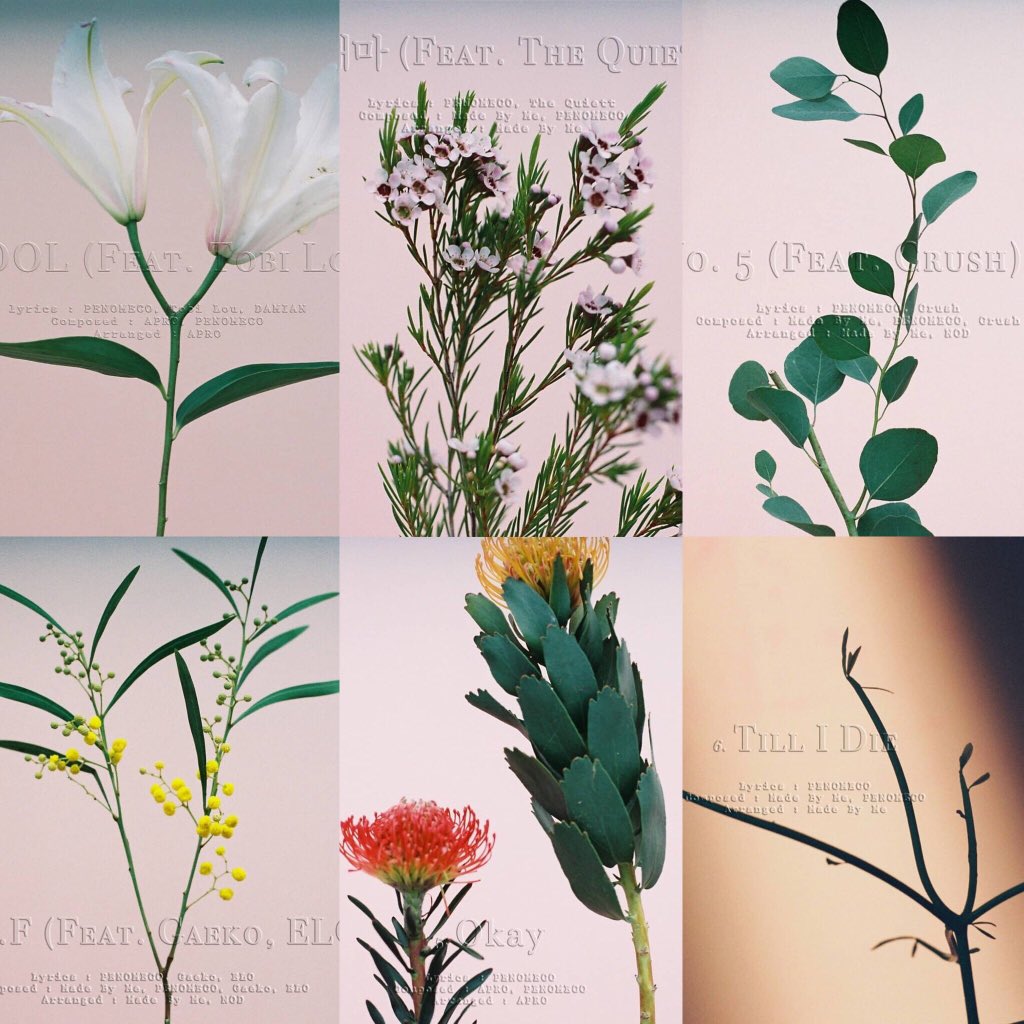 f:id:eelica:20190204215858j:plain