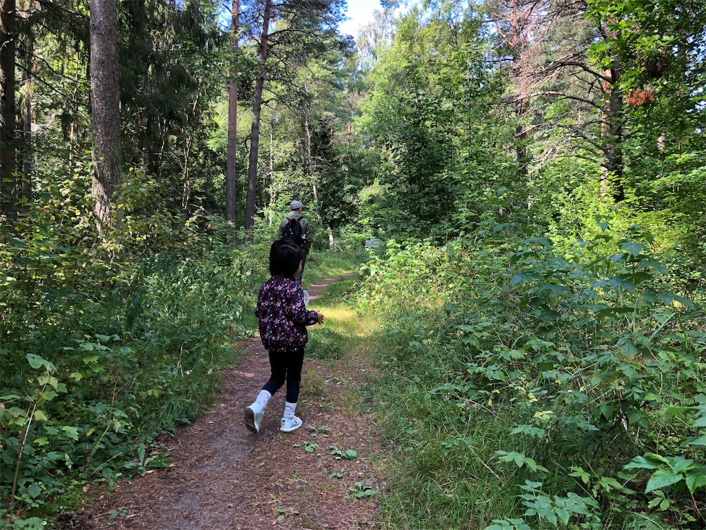 f:id:eesti:20190807180633j:image