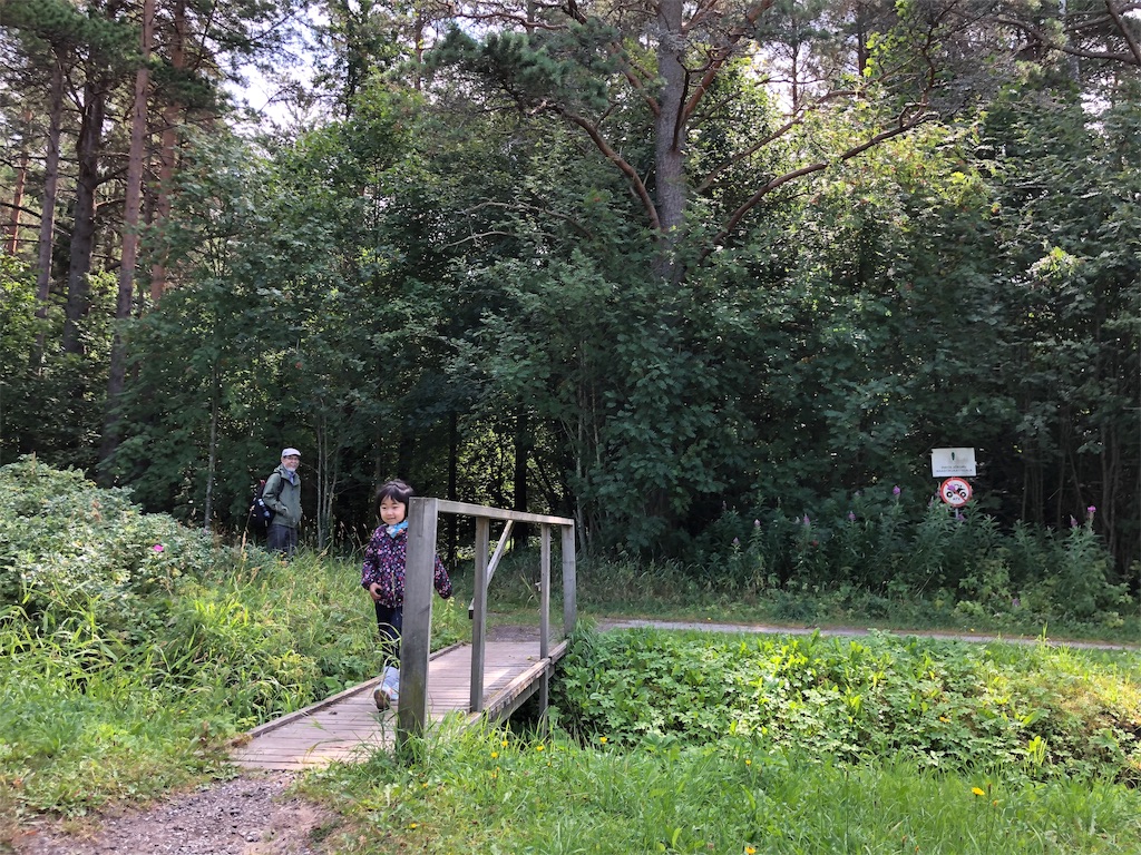 f:id:eesti:20190807180738j:image
