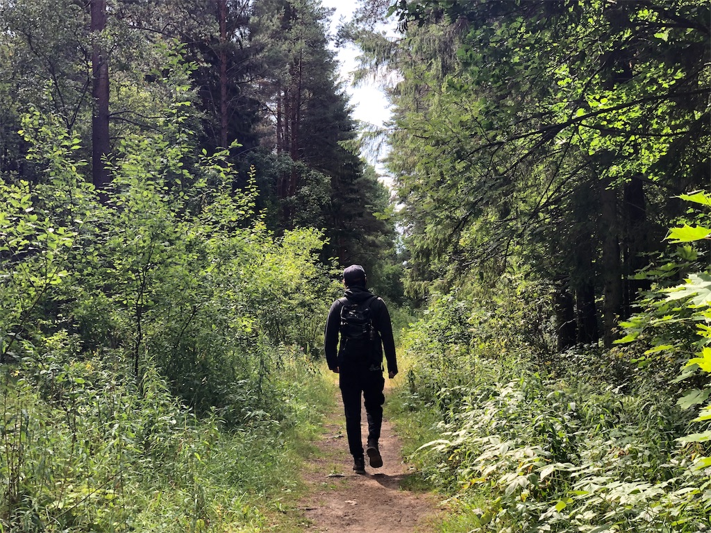 f:id:eesti:20190807181626j:image