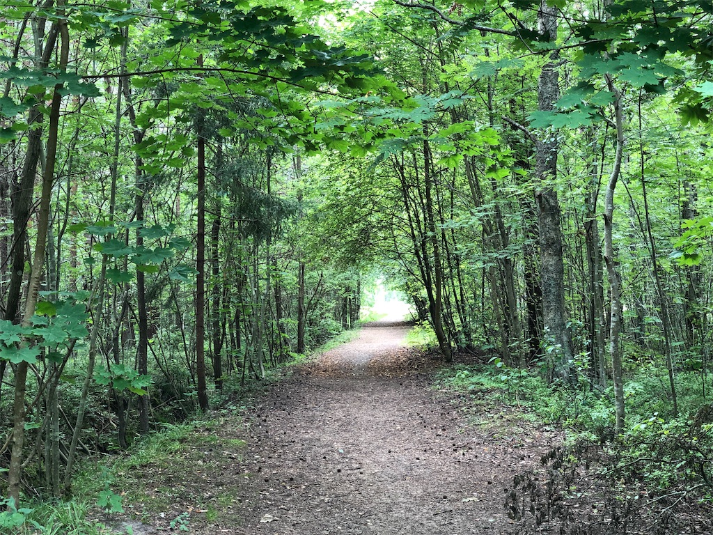 f:id:eesti:20190807181744j:image