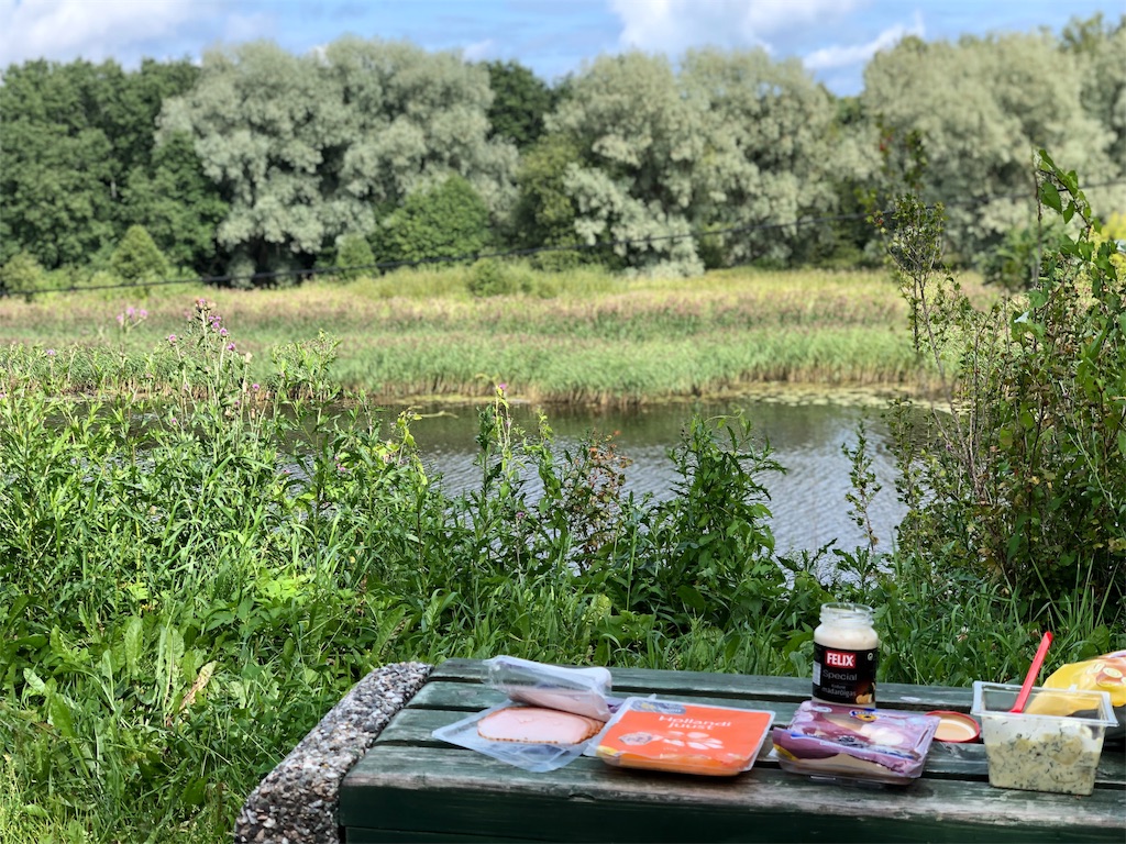 f:id:eesti:20190807182127j:image