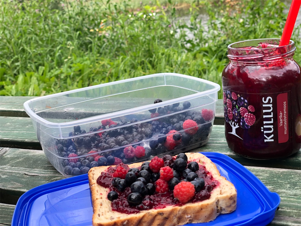f:id:eesti:20190807182219j:image