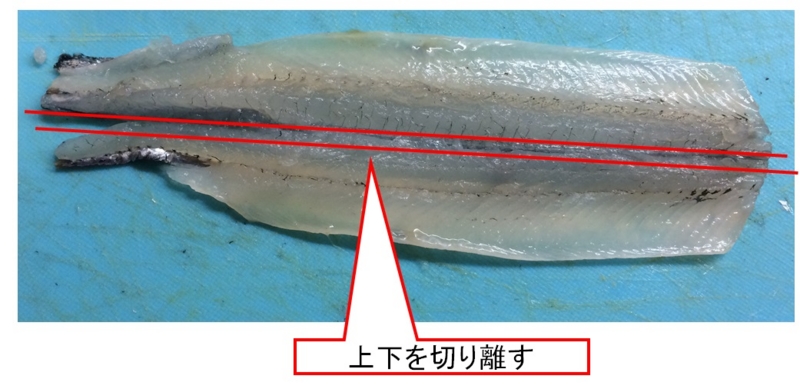 f:id:eeveeTuna:20150405152502j:plain f:id:eeveeTuna:20150405152502j:plain