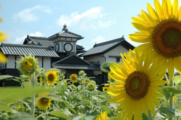20080714150925