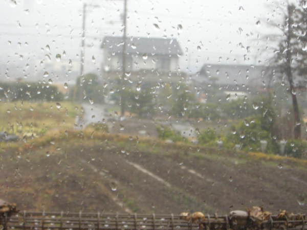f:id:eeyannka:20110228103858j:image