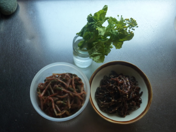 f:id:eeyannka:20110310082830j:image